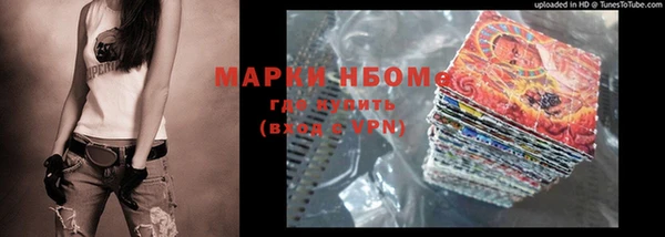 гашик Алексин