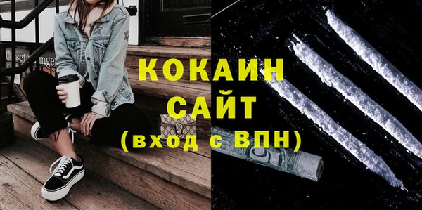 гашик Алексин