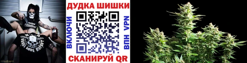 купить закладку  Саров  Конопля сатива 